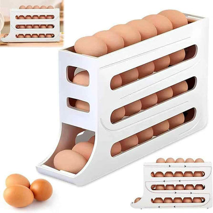 ORGANIZADOR DE HUEVOS